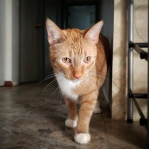 Meet your Posher, Tylor